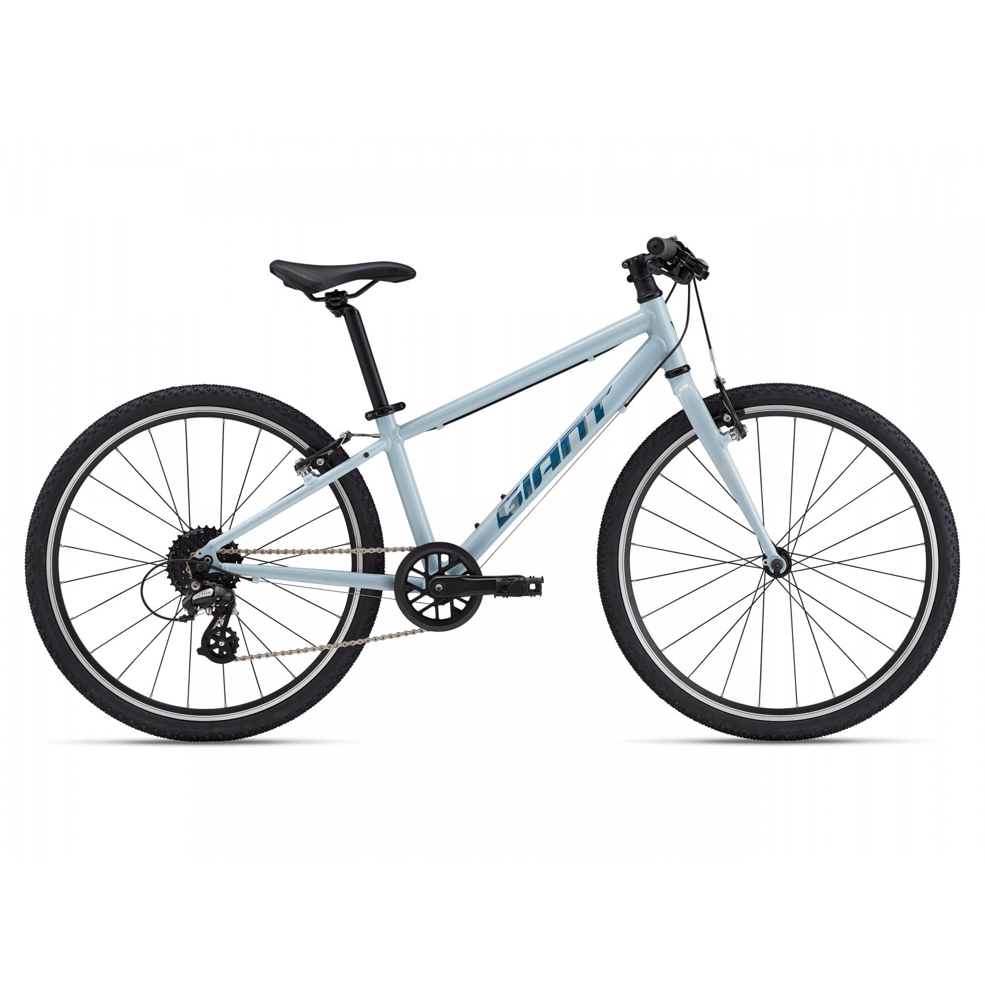 Giant ARX 24 Childs Bike