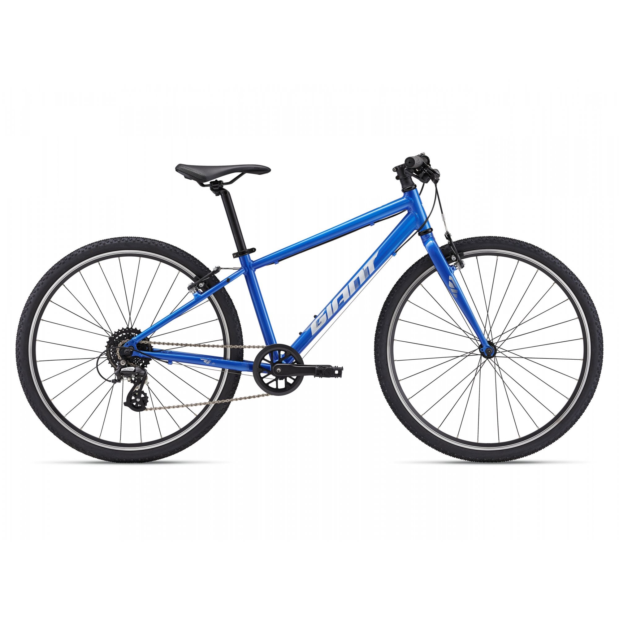 Giant ARX 26 Childs Bike