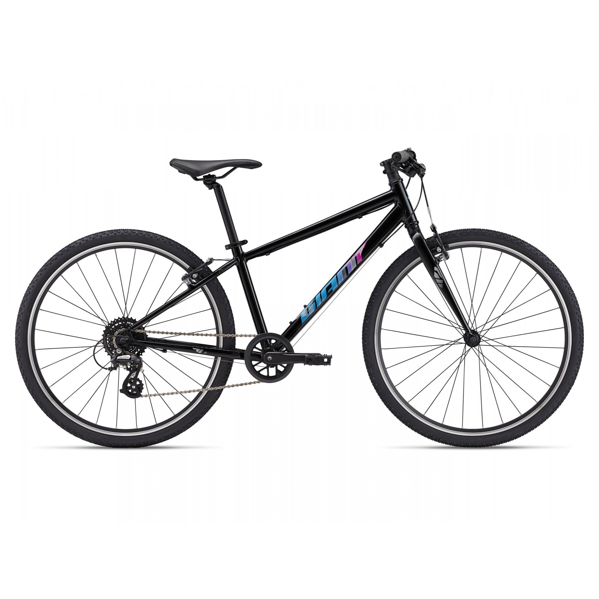 Giant ARX 26 Childs Bike