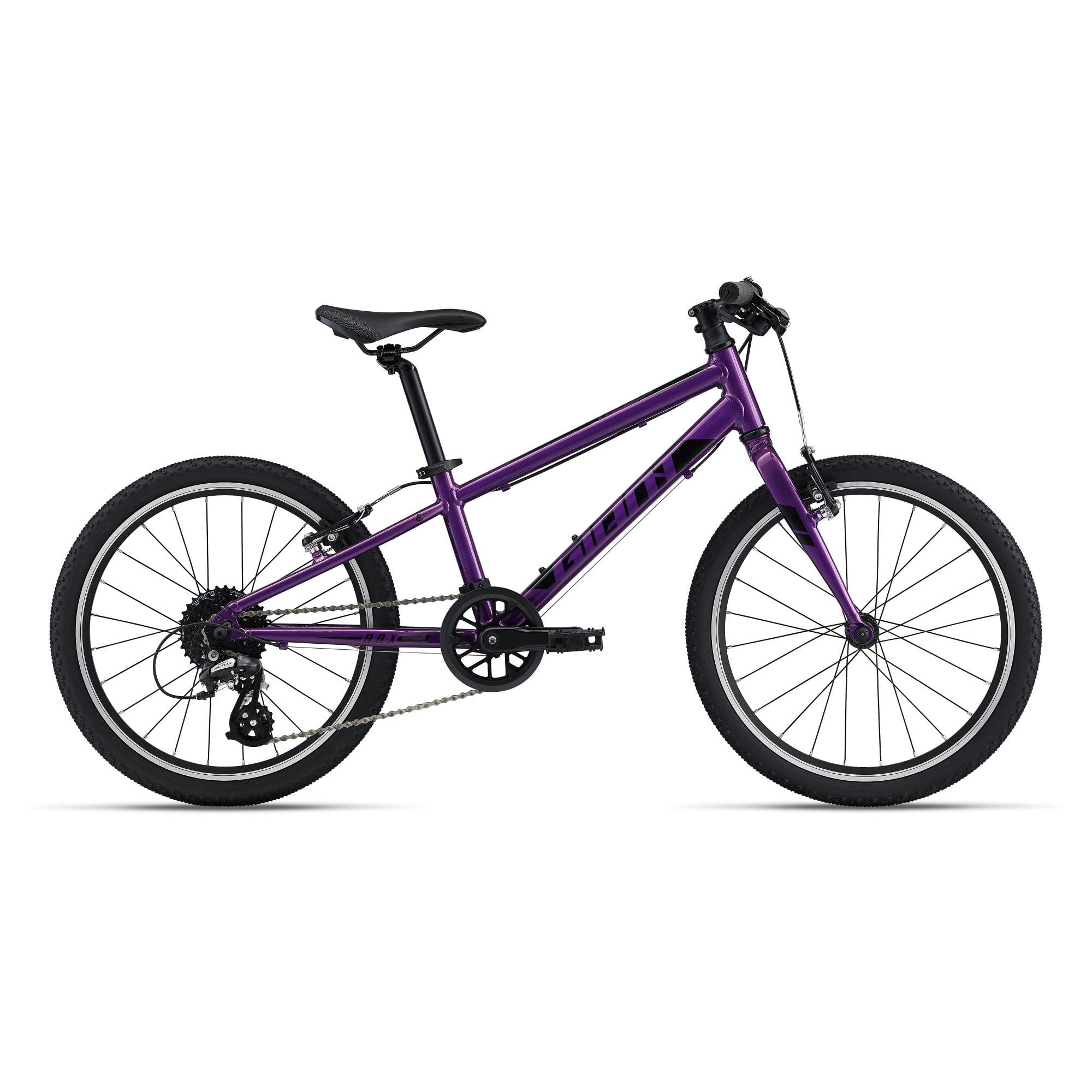 Giant ARX 20 Childs Bike