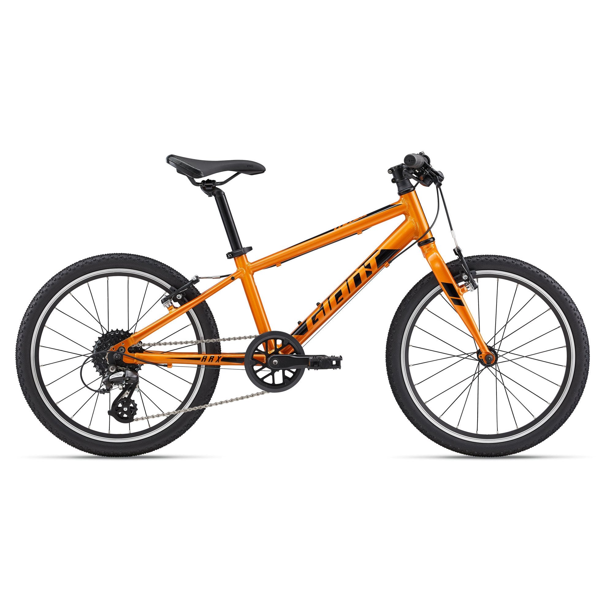 Giant ARX 20 Childs Bike