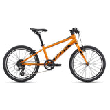 Giant ARX 20 Childs Bike