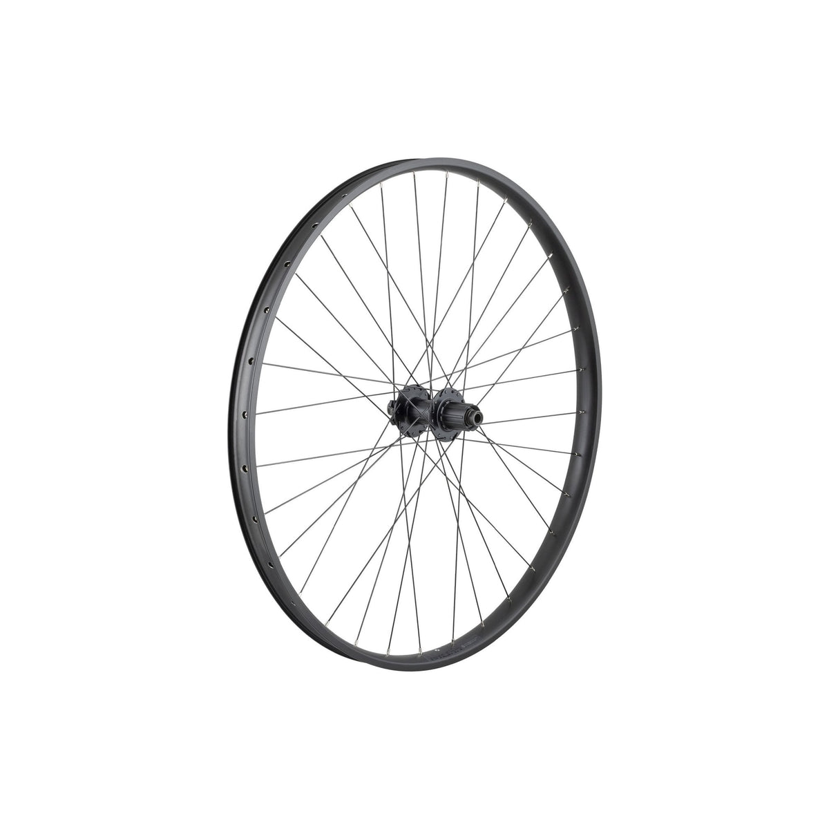 Trek Wheel Alex Md35/Dc-3248 29 32H Wheel