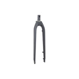 Trek Dual Sport 1 Thru-Skew Rigid Forks