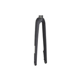 Trek Domane+ Al Forks