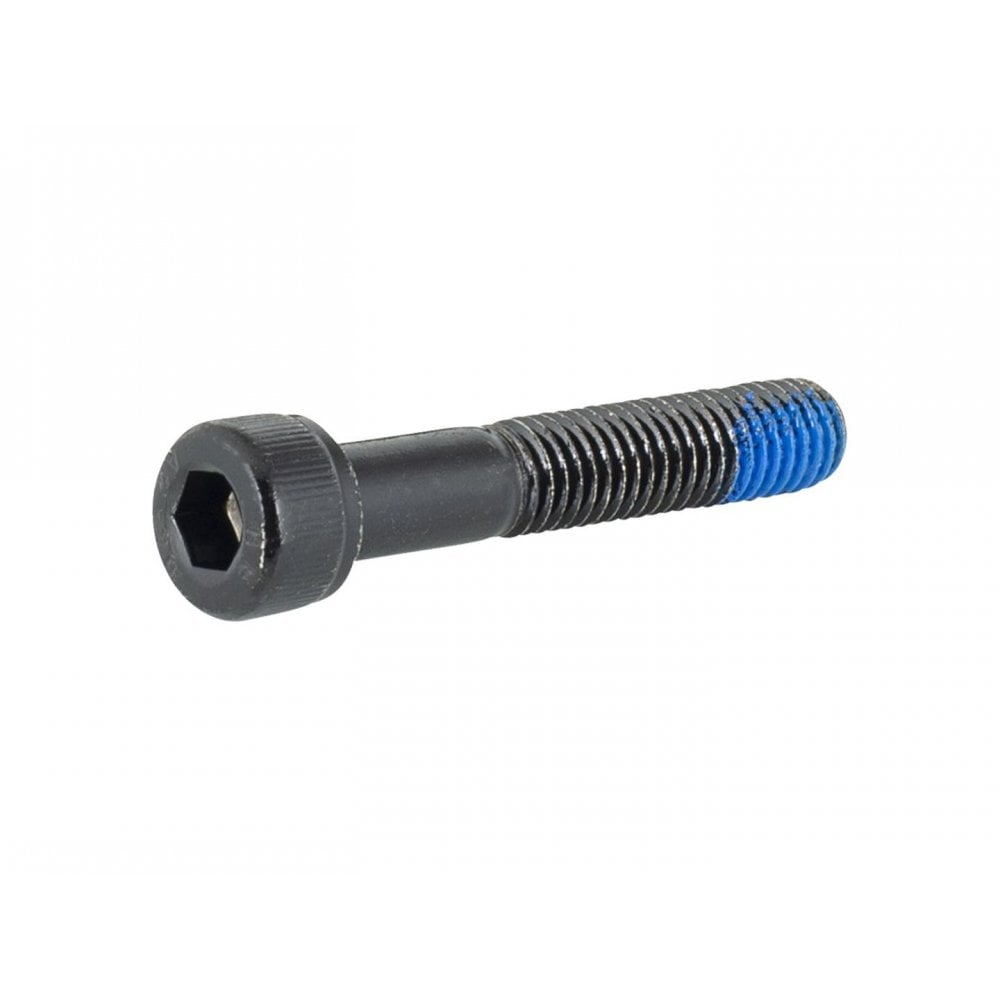 Trek Frame Parts M8x1.25 Socket Head Cap Screws