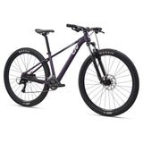 Liv Tempt 29 3 Mountain Bike