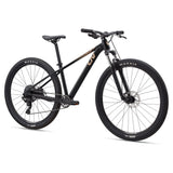 Liv Tempt 29 4 Mountain Bike