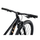 Liv Tempt 29 4 Mountain Bike
