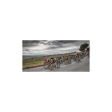 Vittoria Corsa Pro 700X28C Clincher Black Tan G2.0 Tyre