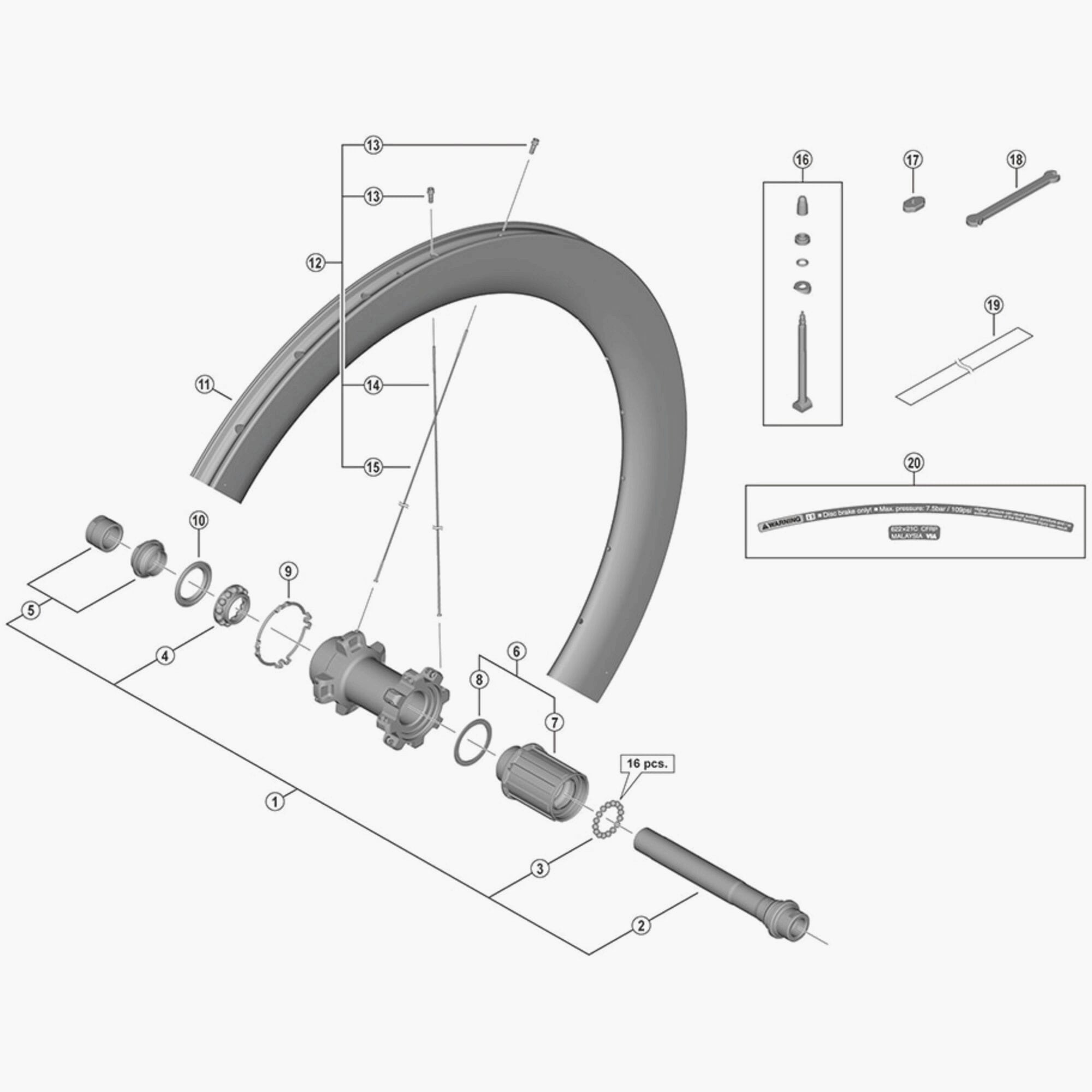 Shimano Wh-R8170-C60-Tl-R Left Hand Spoke 244 Mm Wheel Spares