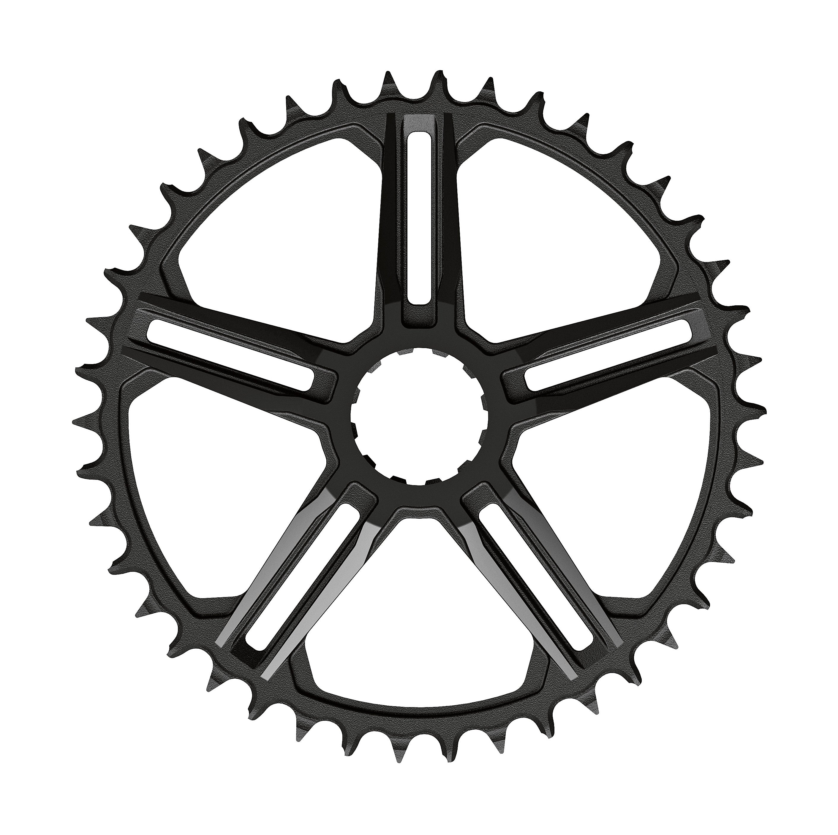 FSA Fazua Ebike 5 Spoke 1x11 Direct Mount Chainring