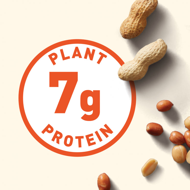 Clif Nut Butter Bar (12 Pack)