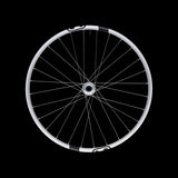 Crankbrothers Synthesis Alloy 2.0 DH 1/1 Front Wheel