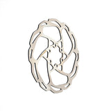 Hayes D-Series Disc Rotor