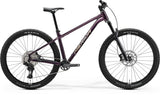 Merida Big Trail 600 2027