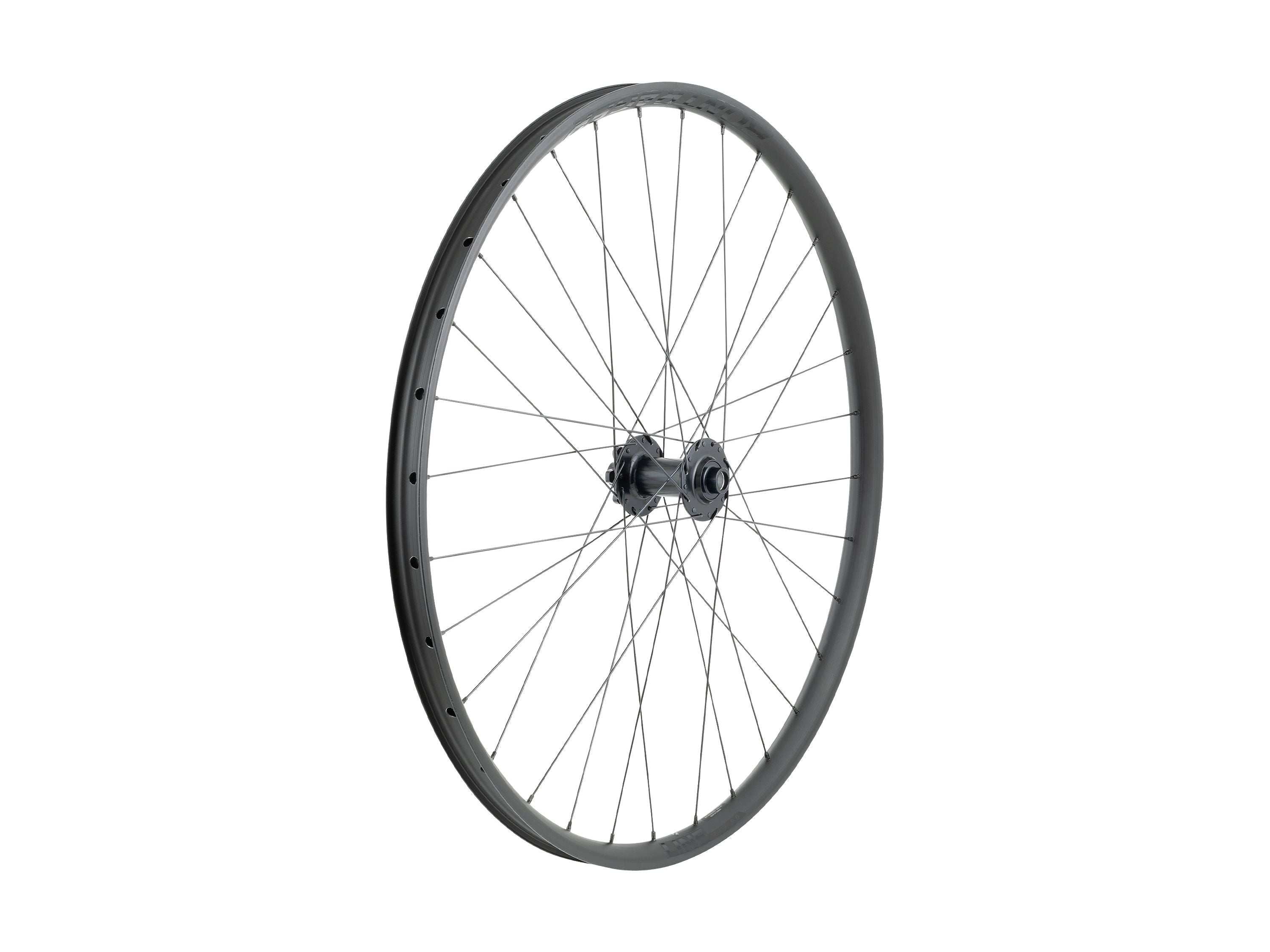 Bontrager Wheel - Line 30 6-Bolt TLR Boost 29" MTB Wheel