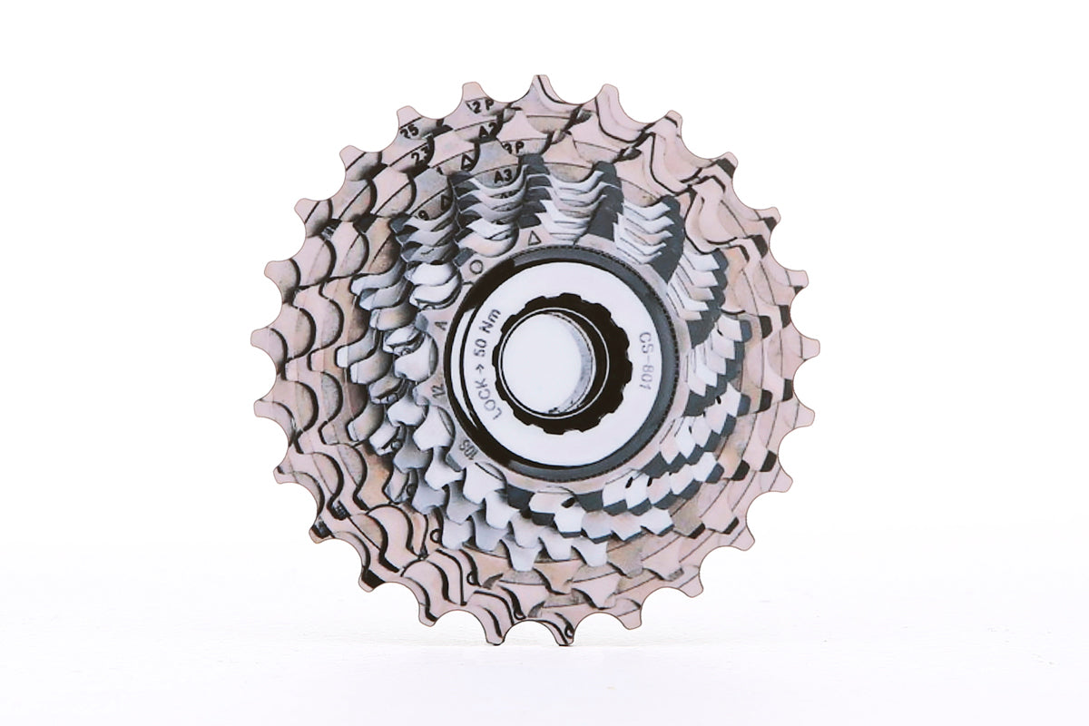 Global Cycling Club Campag Coaster