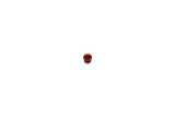 Hope RX4-SR[old] - DOT - Small Bore Cap - RED