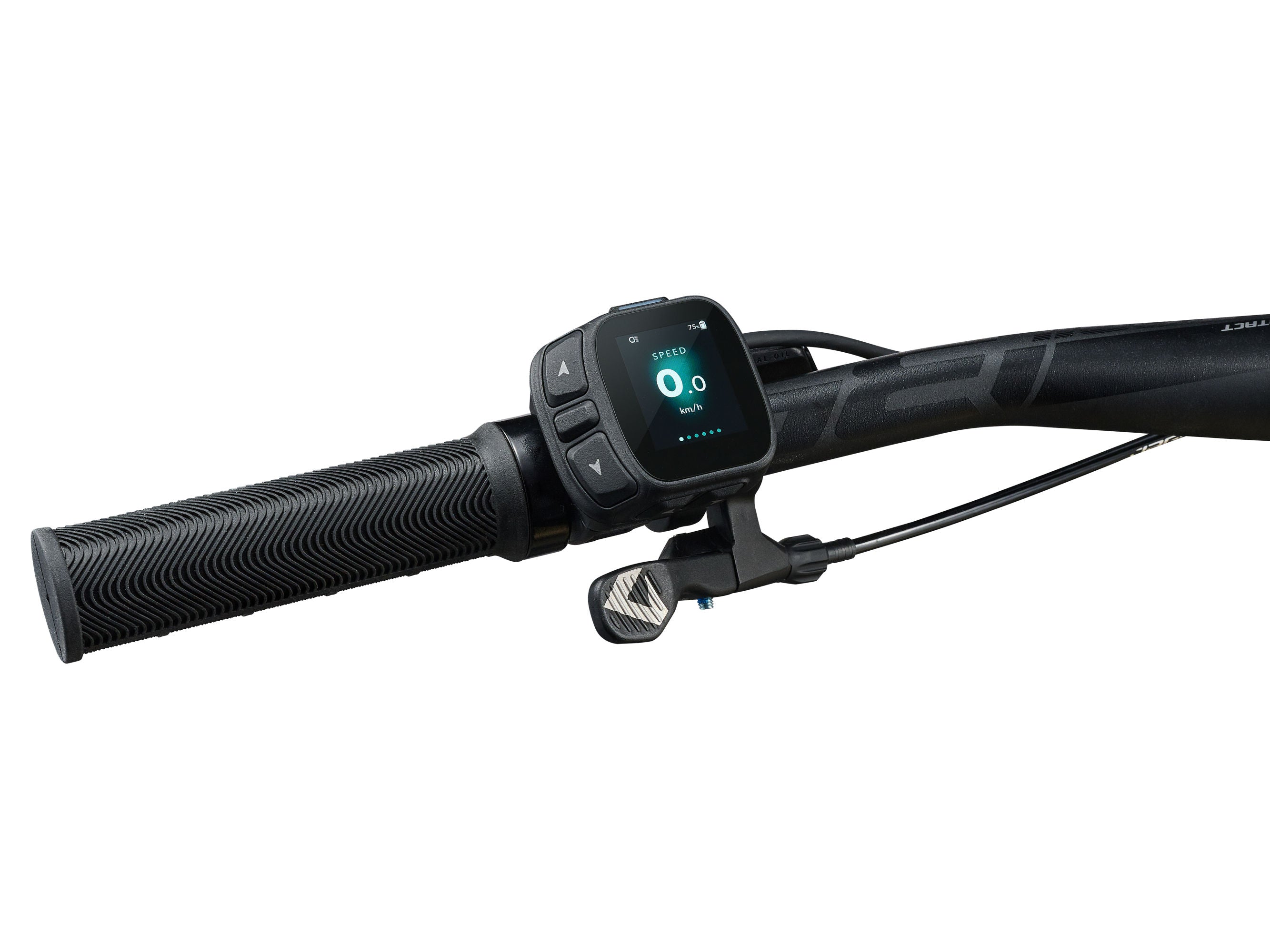 Liv Lurra E+ 1 2027