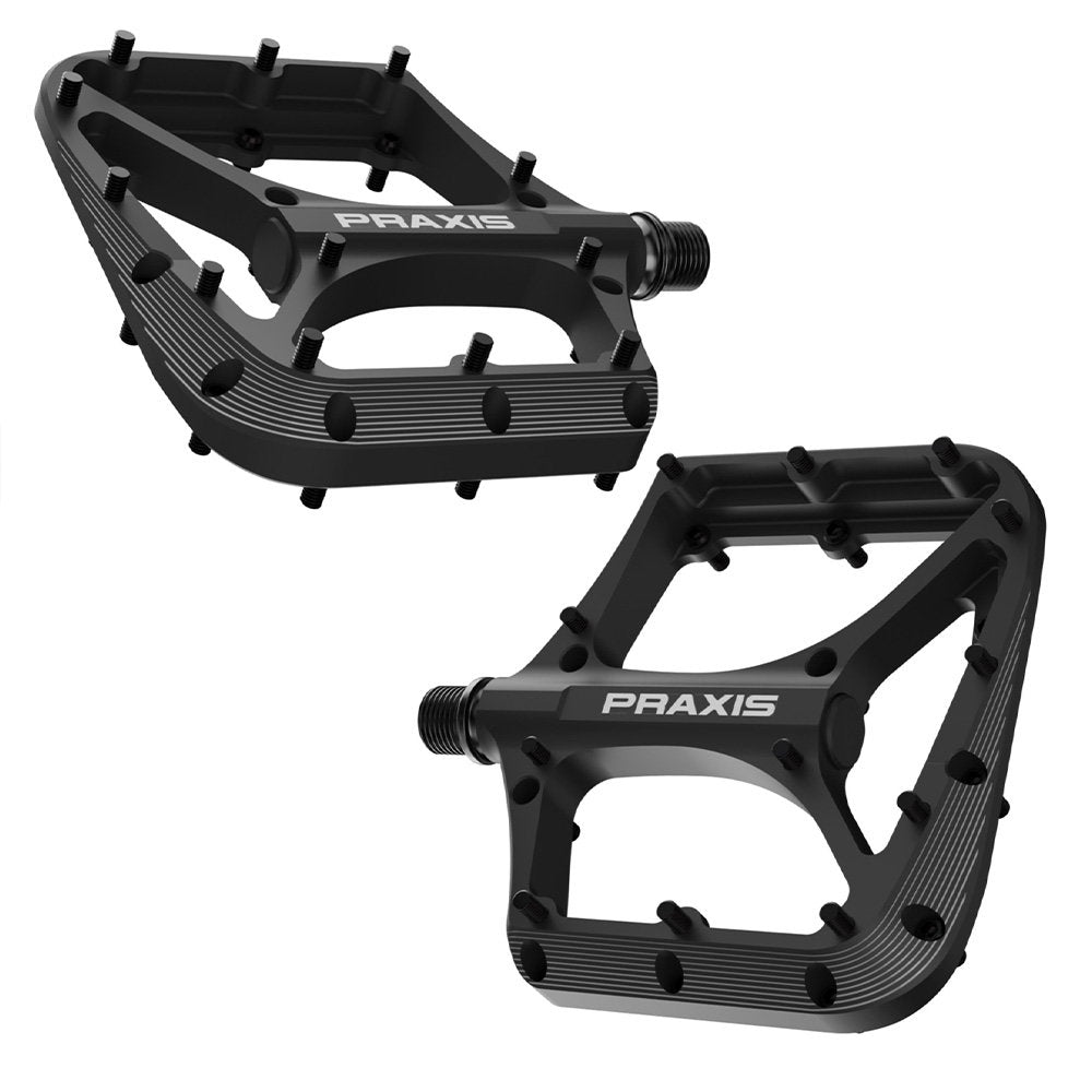Praxis -Brodium G2 Pedal