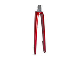 Trek Forks - Fork Rigid Domane Sl 5