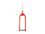 Trek Forks - Farley Fork