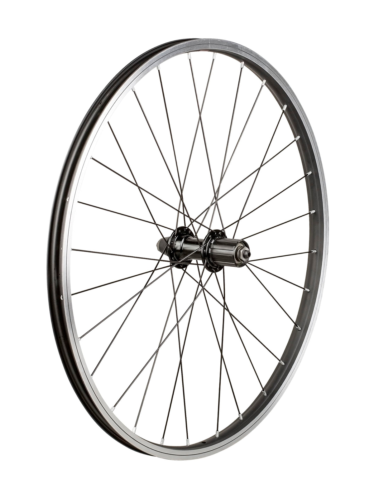 trek wheels kids 28 hole 24 wheel p101761