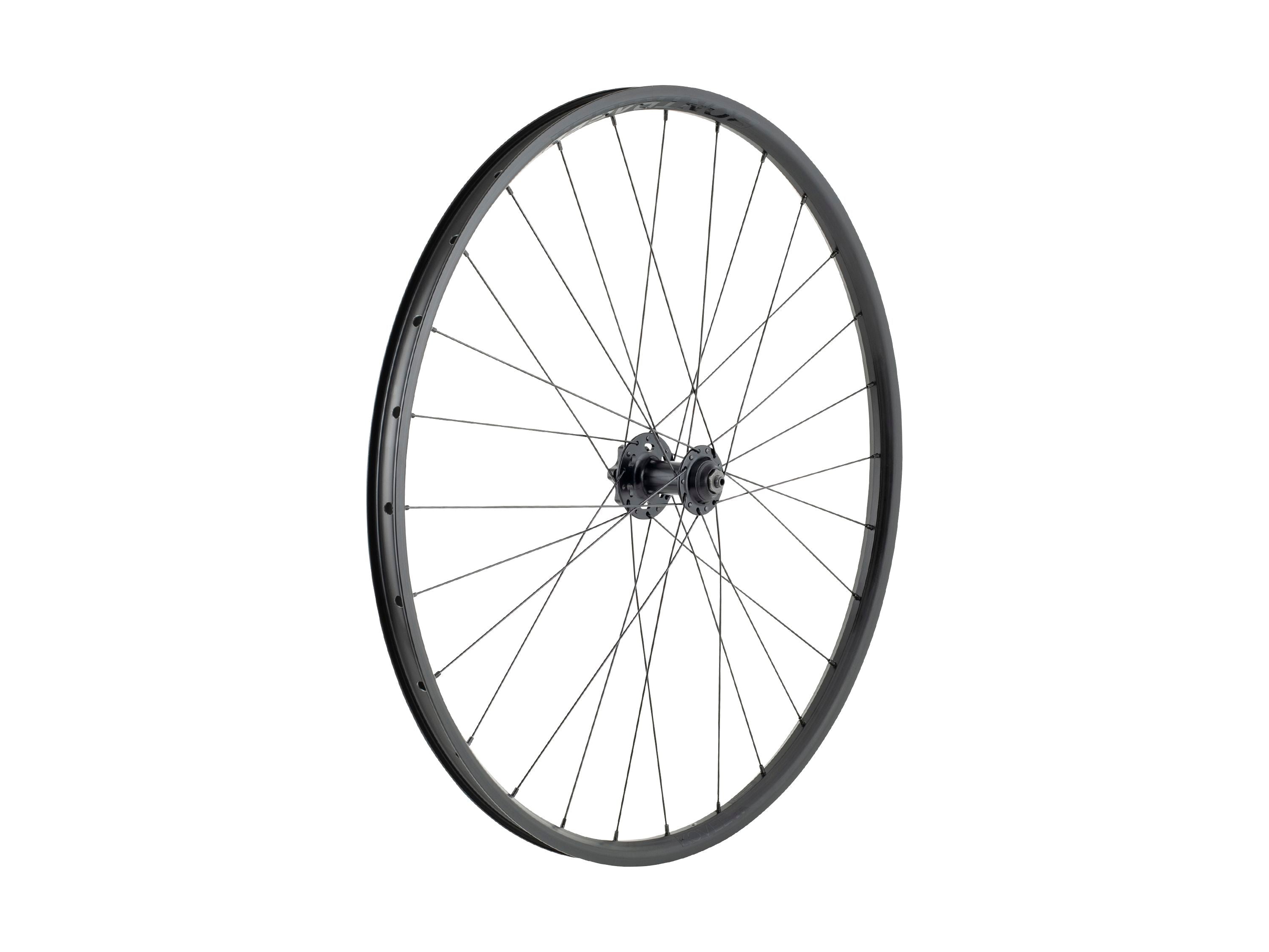 Bontrager Wheel - Kovee 25 TLR 28H 29" 6-Bolt Disc MTB Wheel
