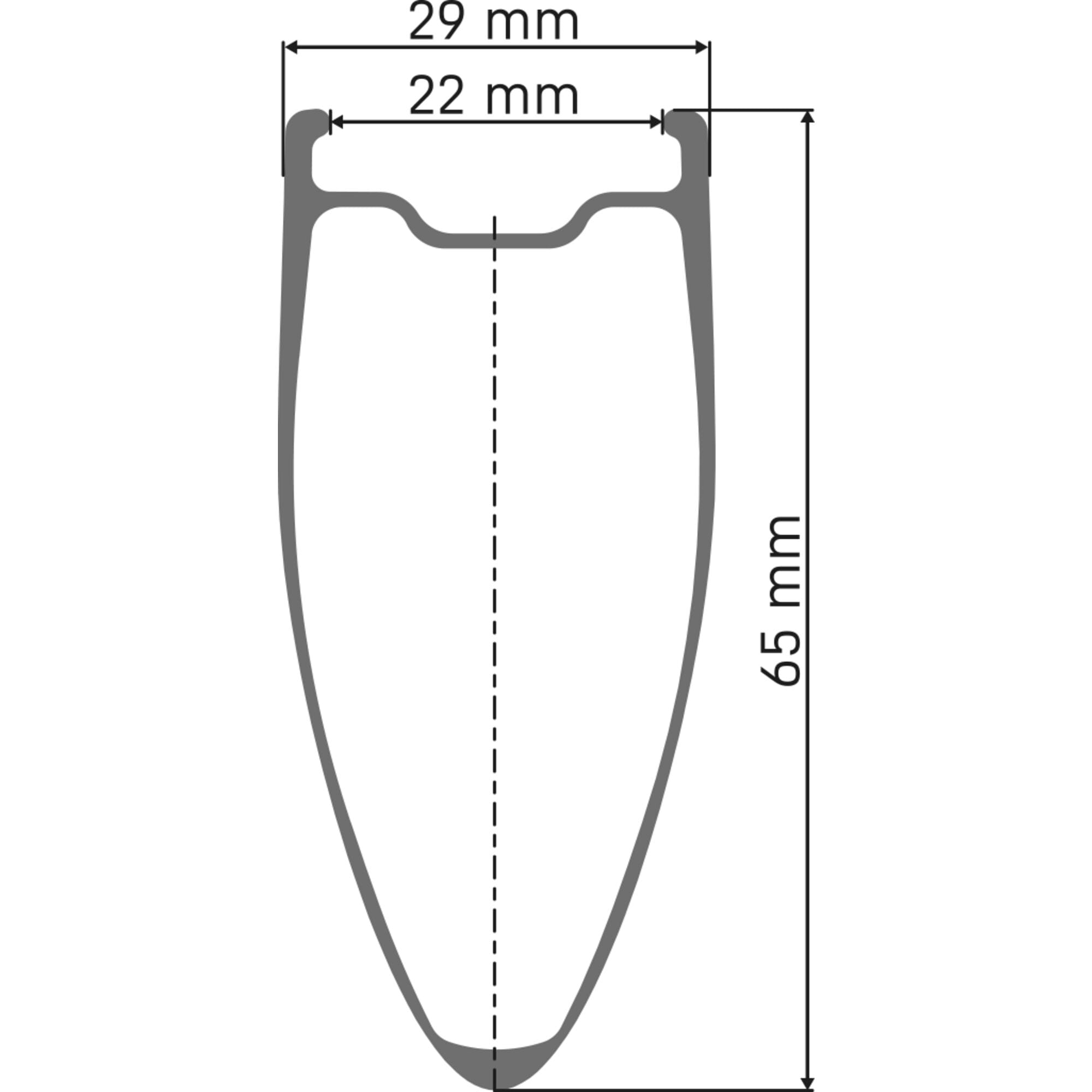 DT Swiss ARC 1100 DICUT disc brake WTS, carbon clincher 65 x 22 mm rim, rear with tyre