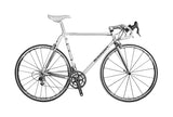 Colnago Master X-Light Steel Lugged Road Frameset