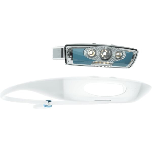 Knog Front Lights - Bandicoot Run 250 Head Torch