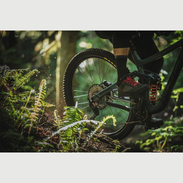 Shimano Clothing GR7 (GR701) MTB Shoes