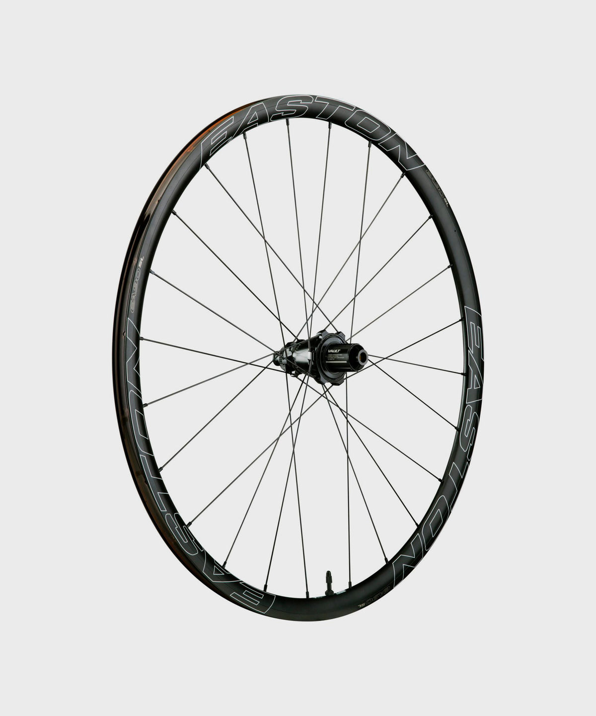 Easton EA90 SL Disc Wheel