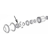 Dt Swiss Spare Dt Pawl Carrier Onyx