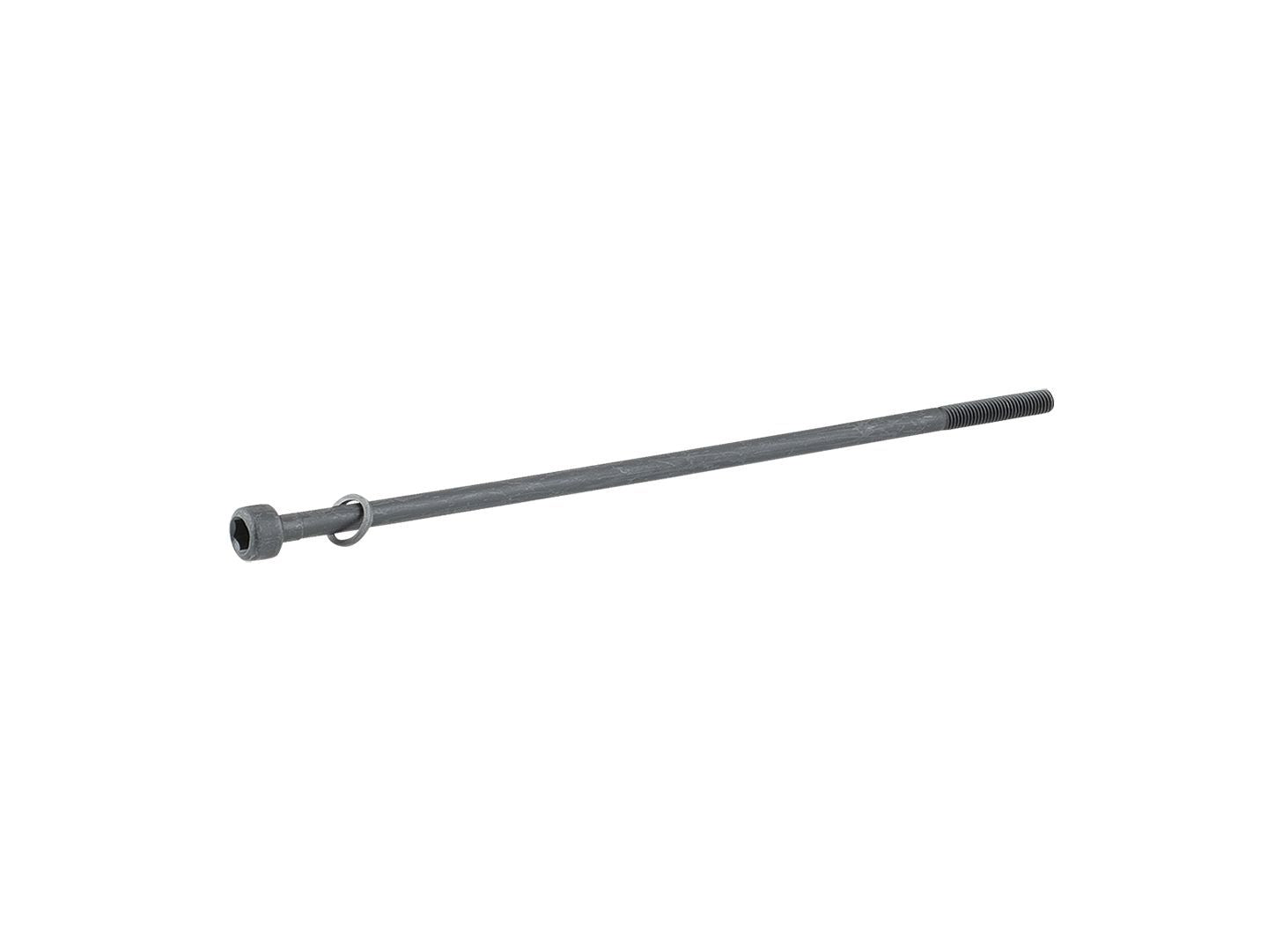 Trek Thru-Skew Black Rear 169mm
