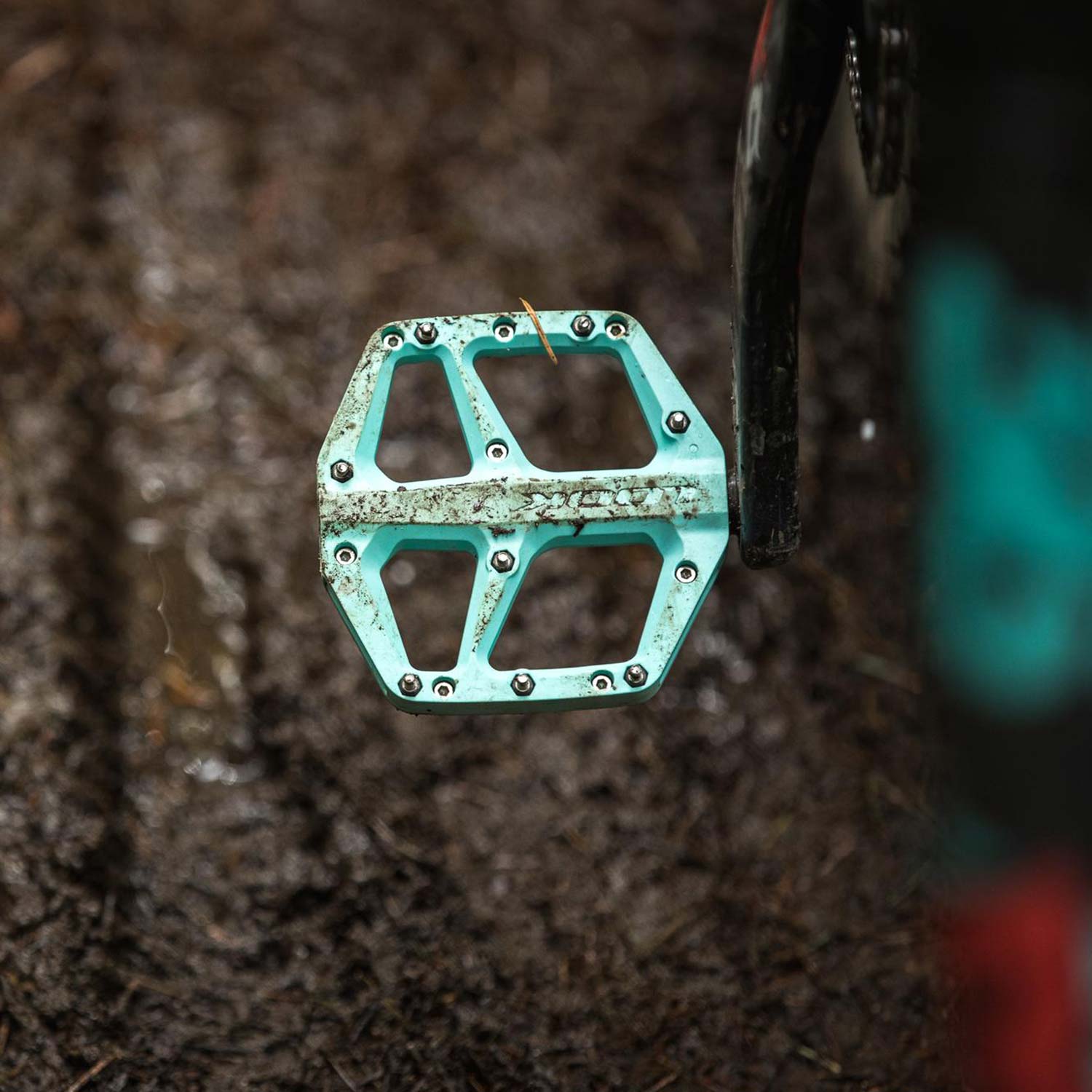 Look Trail Fusion flat pedals with replaceable pins for mountain bikes, showing durable platform and pin details.