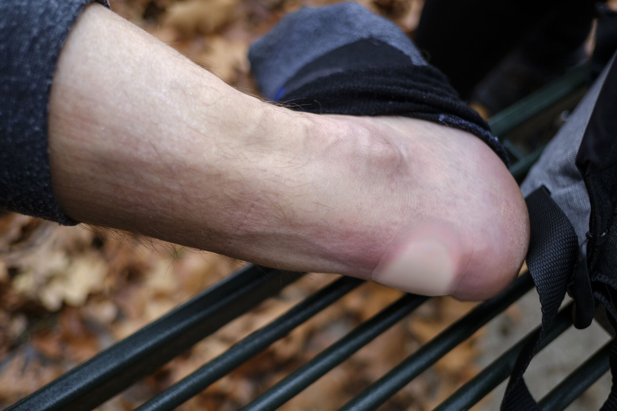 Lifesystems Blister Plasters