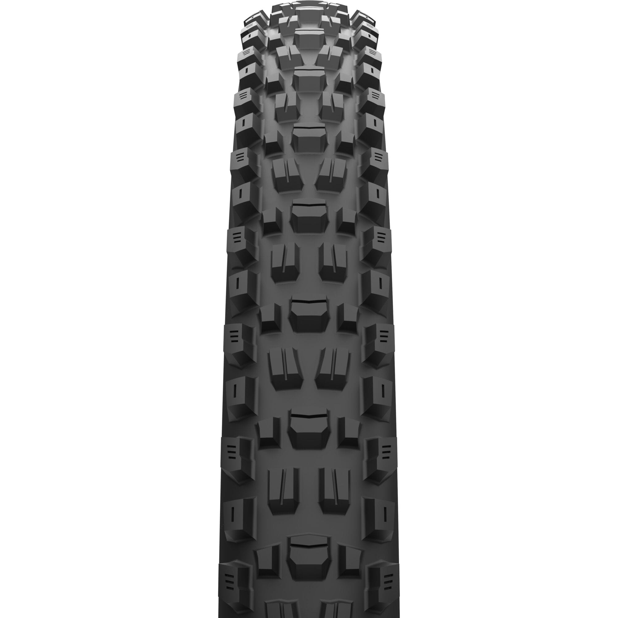 Maxxis Assegai 29x2.50 foldable tubeless mountain bike tire with MaxxTerra rubber and EXO+ reinforcement.