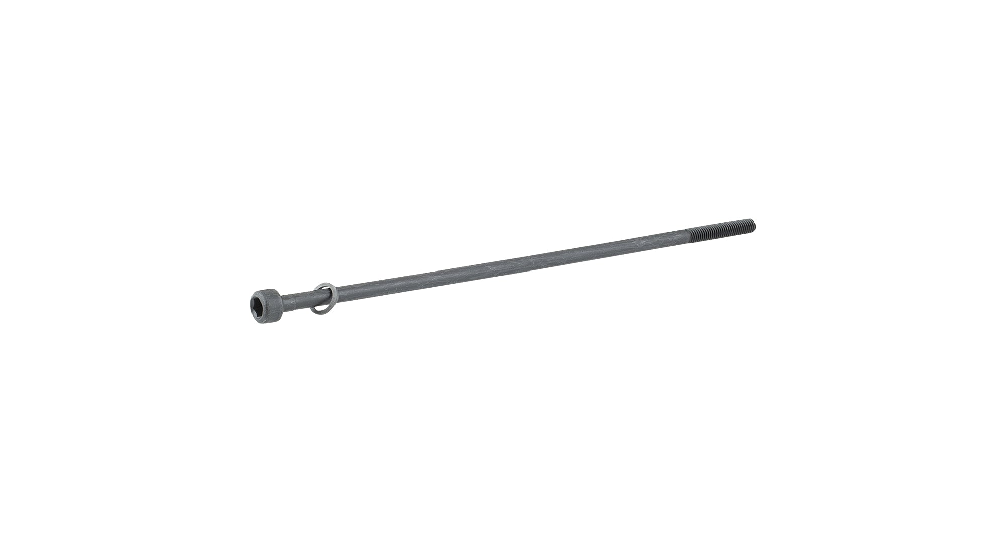 Trek Thru-Skew Black Rear 169mm