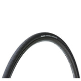 Panaracer Catalyst Wired Road Tyre