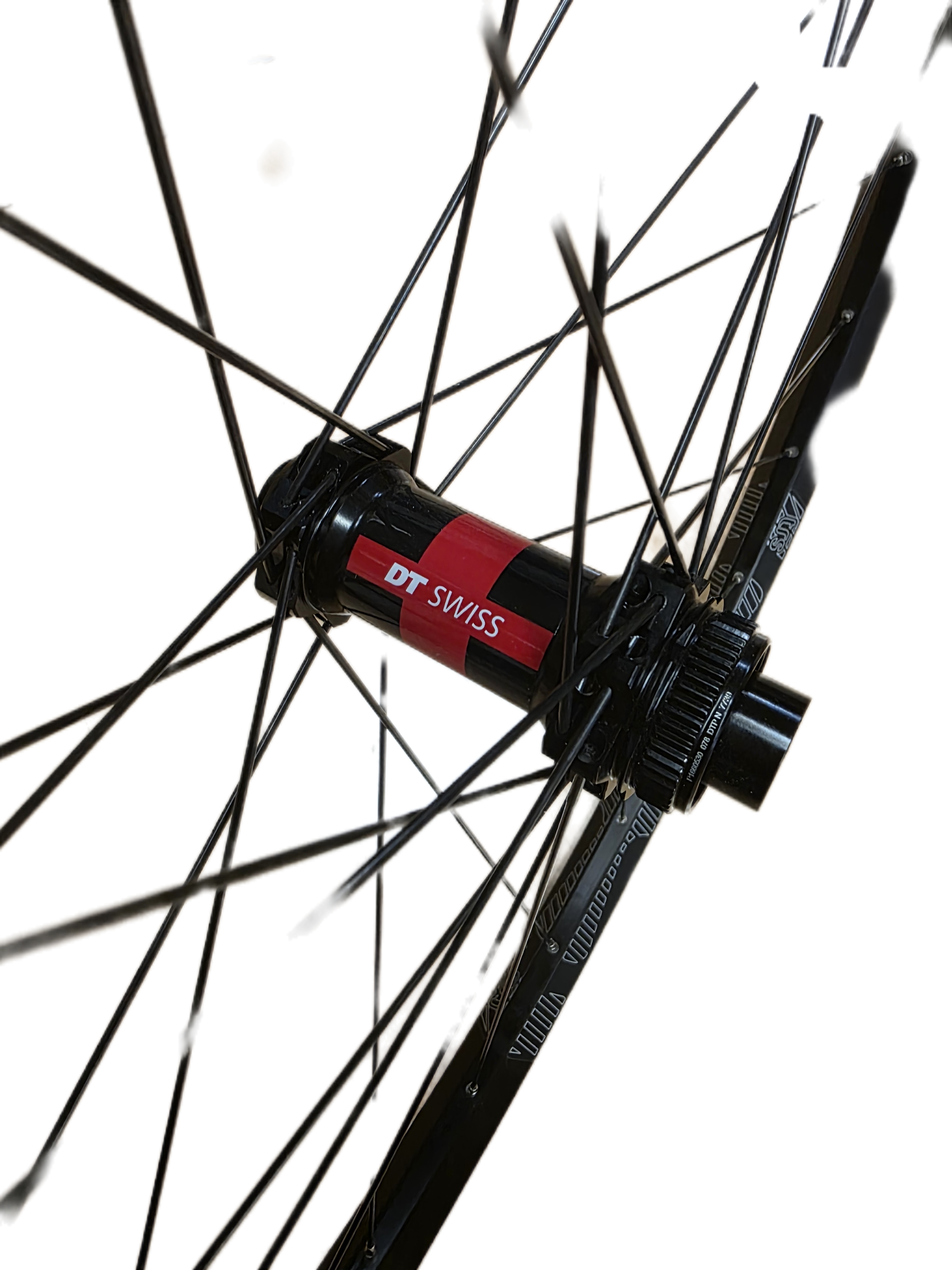 eThirteen TRS 29er 28h Rim on DT Swiss 240 SP Hub - Front Wheel