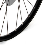 KX-Pro-29"-Double-Wall-Disc-Rim-32H-in-Black