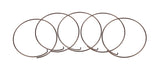 Fulcrum-Spring-Pawl-FW-Body-MTB