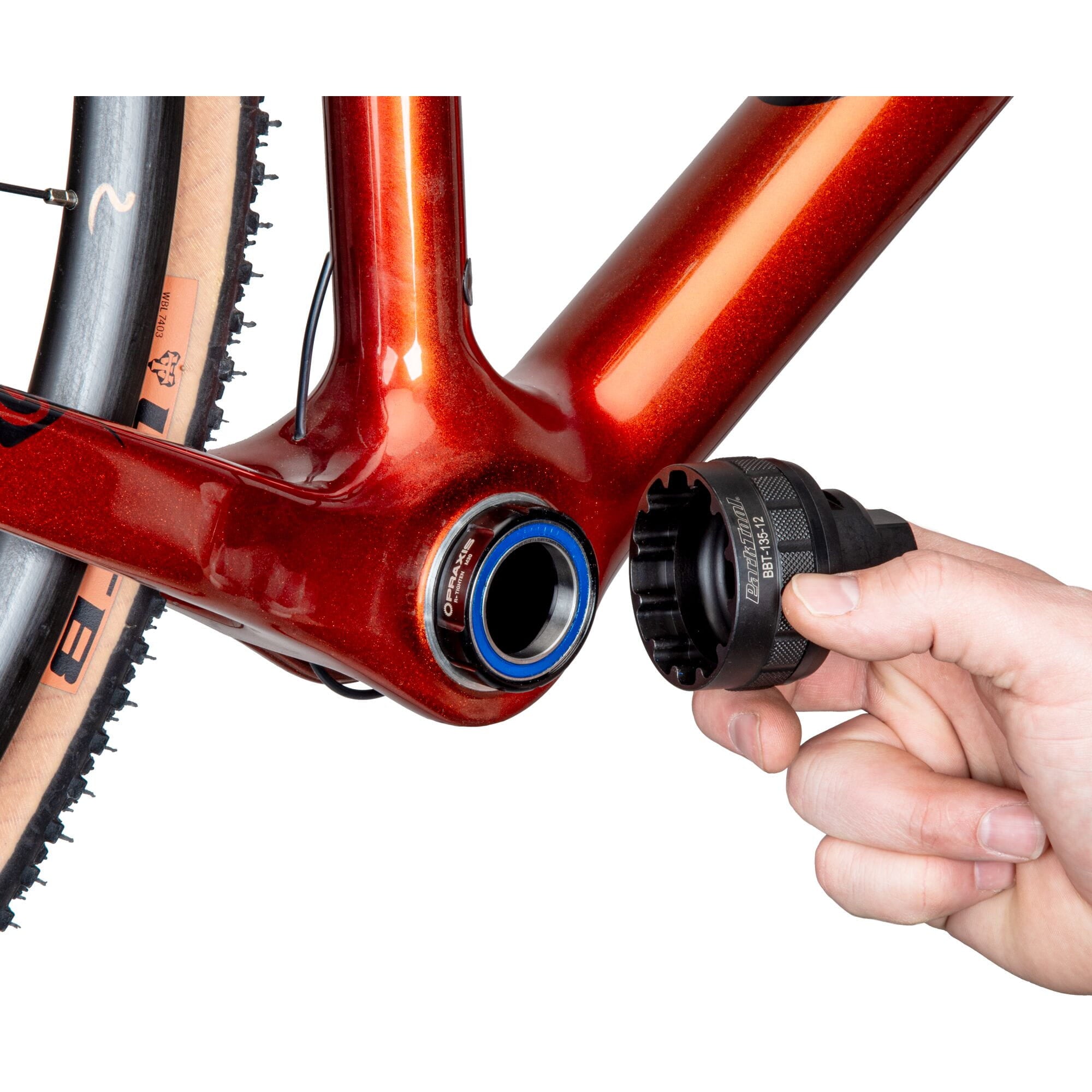 Park Tool BBT-135-12 heavy-duty steel 12-notch bottom bracket tool for 48-50mm bottom brackets, ideal for bike workshop use.