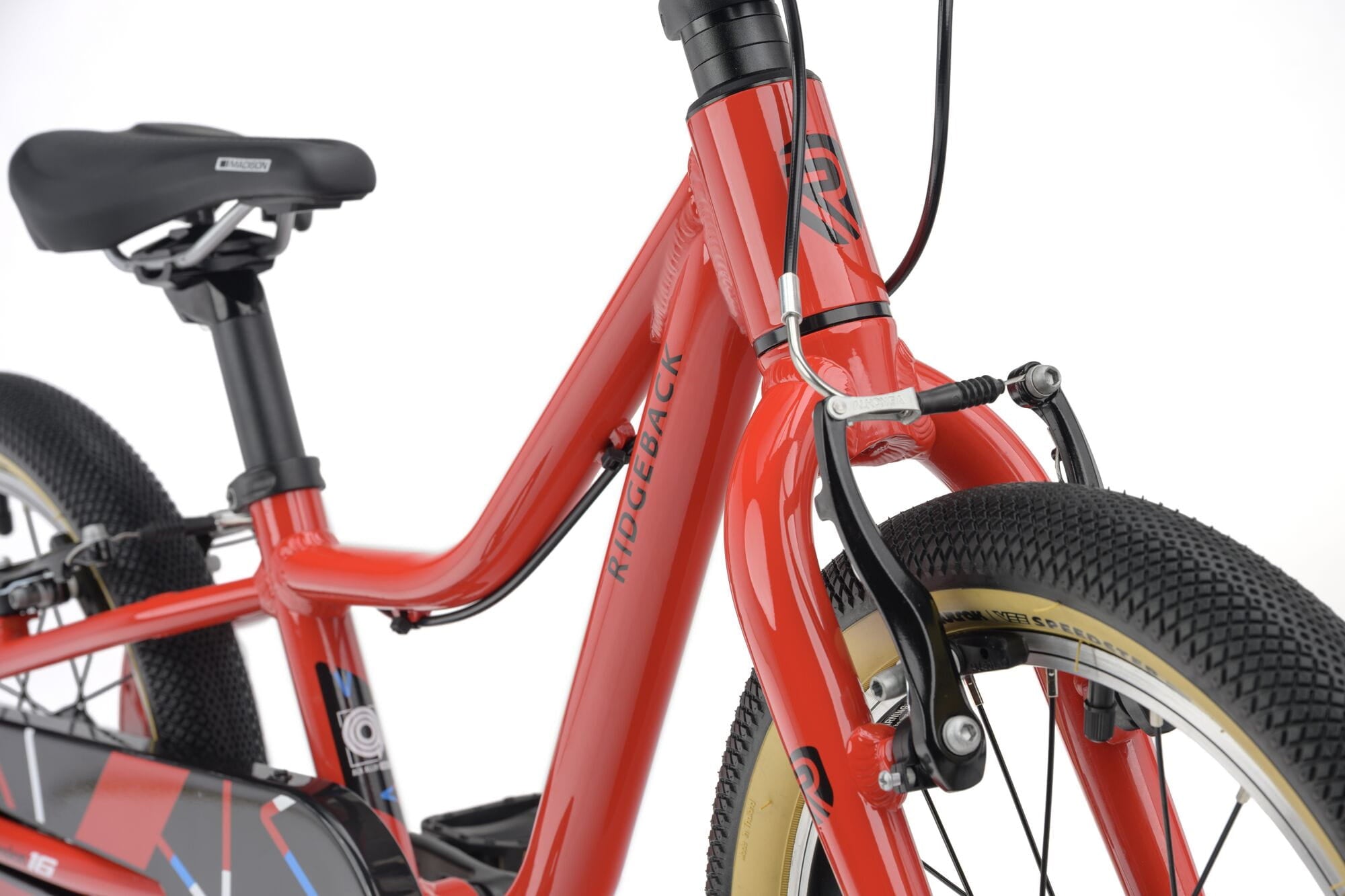 Red Ridgeback Dimension 16 kids bike with lightweight frame and adjustable features for children aged 3.5 to 6 years.