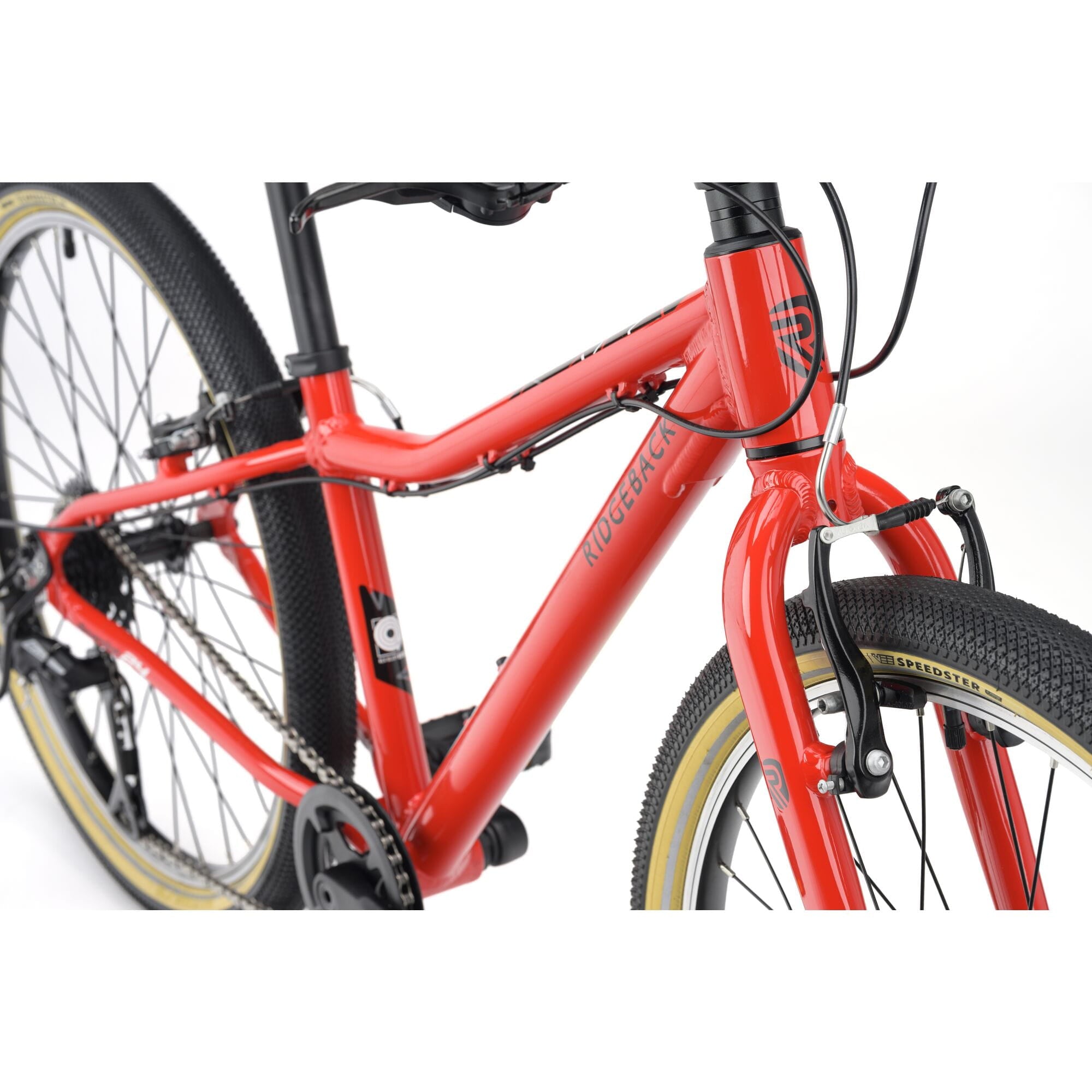 Ridgeback Dimension 24 kids bike with red frame, 8-speed Shimano gears, puncture-resistant tires, adjustable fit for ages 8+