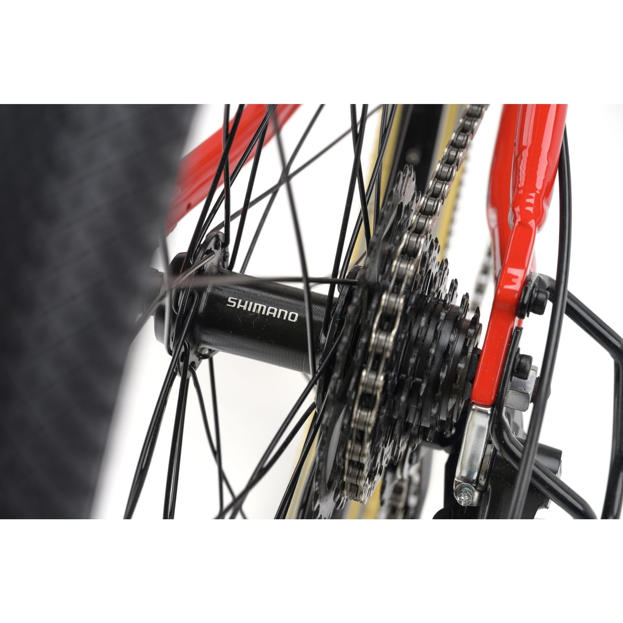 Red Ridgeback Dimension 24 kids bike with 8-speed Shimano gears, puncture-resistant tires, and adjustable fit for ages 8+