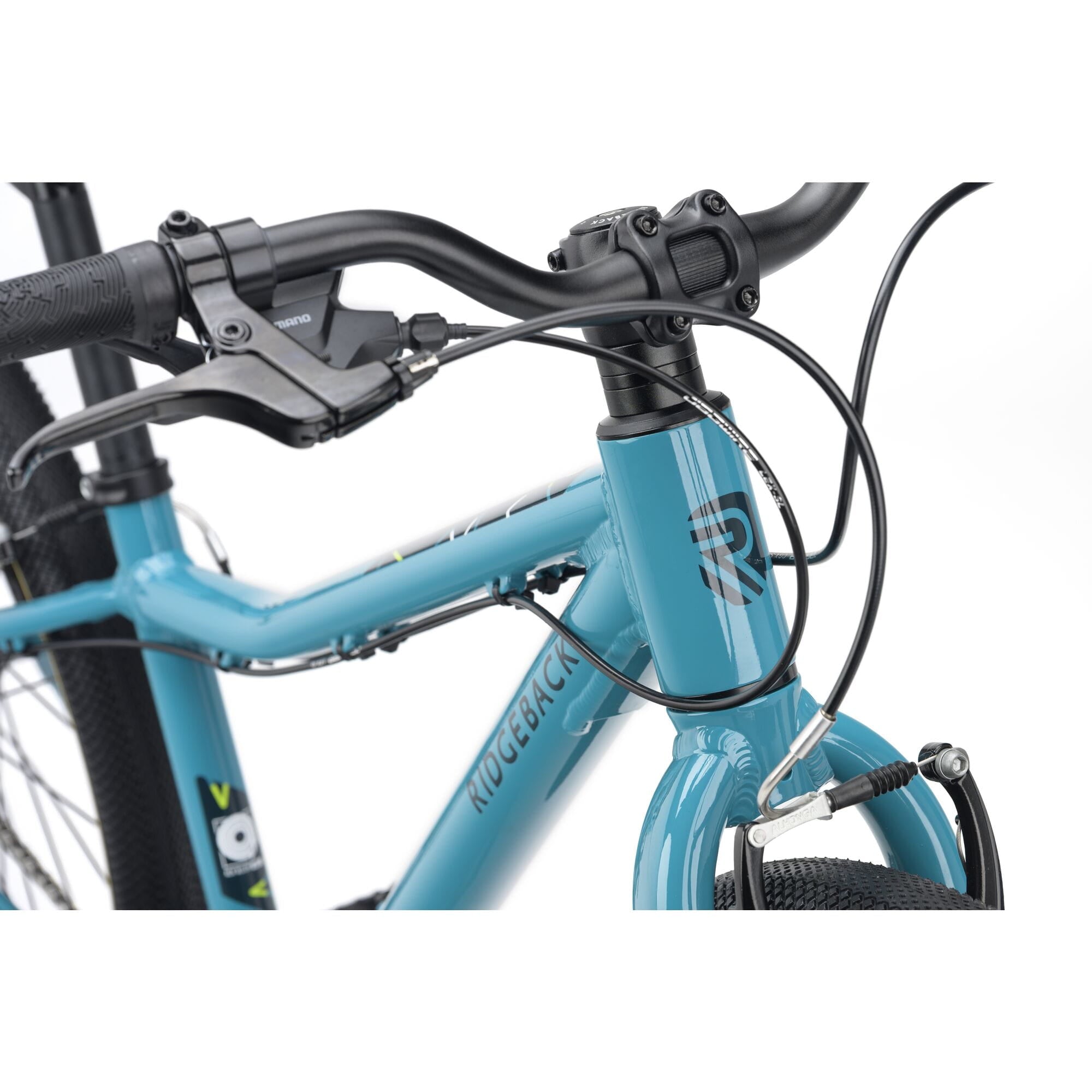 Ridgeback Dimension 24 Kids Bike in teal with 8-speed Shimano gears, puncture-resistant tires, adjustable fit for children aged 8+