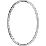 DT Swiss FR 541 SBWT disc-specific 32 hole Presta-drilled silver - 29"